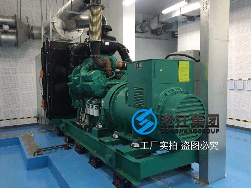 阻尼彈簧減震器大型柴油發(fā)電機(jī)安裝案例 阻尼彈簧減震器大型柴油發(fā)電機(jī)安裝案例