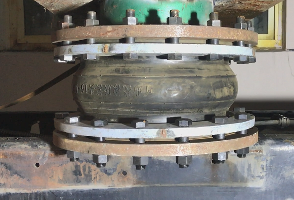 ����Ҋ���}�����P���z���^�aƷŤ���ĕ�����