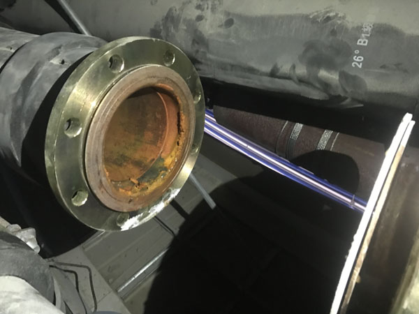 �Ϻ��Aɽ�tԺ���y�a�������x�ӳ��ˆ��}������