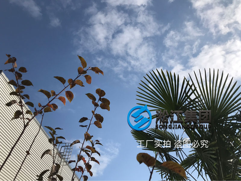 【廠院】淞江集團南通工廠外圍配套設施完善到位 【廠院】淞江集團南通工廠外圍配套設施完善到位