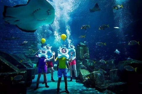 “漲知識”淺談海洋館維生系統