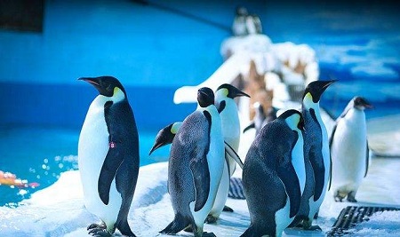 ��δ��캣��O������S��ϵ�y��