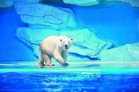 ��δ��캣��O������S��ϵ�y��