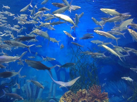 ��δ��캣��O������S��ϵ�y��